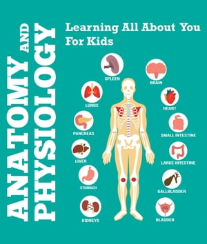 Anatomy And Physiology: Learning All About You For Kids