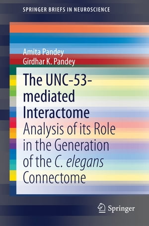 The UNC-53-mediated Interactome Analysis of its Role in the Generation of the C. elegans Connectome