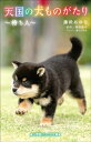 小学館ジュニア文庫　天国の犬ものがたり～待ち人～