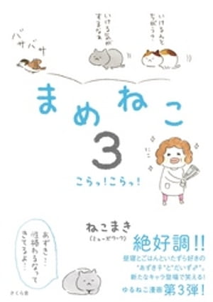 まめねこ３　こらっ！こらっ！