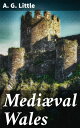 Medi?val Wales Chiefly in the Twelfth and Thirteenth Centuries: Six Popular Lectures