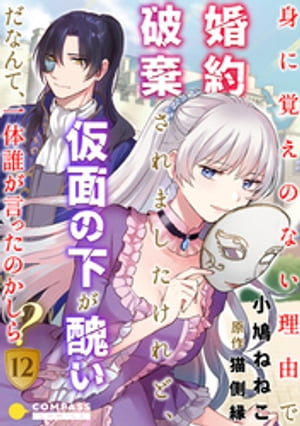 身に覚えのない理由で婚約破棄されましたけれど、仮面の下が醜いだなんて、一体誰が言ったのかしら？（12）