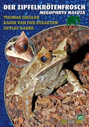 Der Zipfelkrötenfrosch