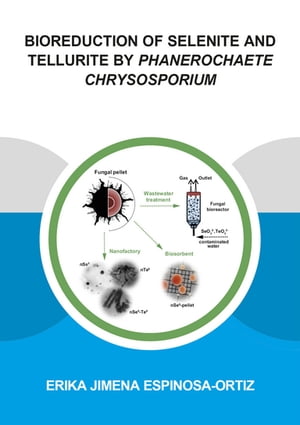 Bioreduction of Selenite and Tellurite by Phanerochaete Chrysosporium