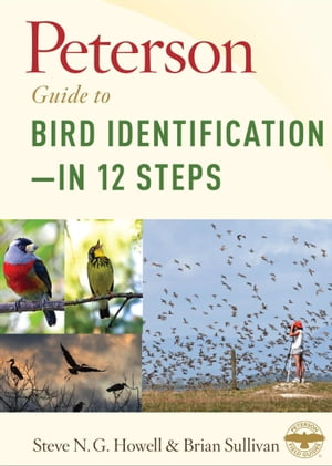 Peterson Guide to Bird Identificationーin 12 Steps