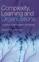 Complexity, Learning and Organizations A Quantum