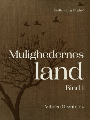 Mulighedernes land. Bind 1