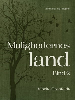 Mulighedernes land. Bind 2