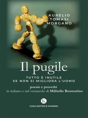 Il pugile