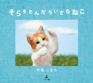 そらをとんだちいさなねこ