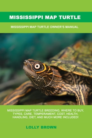 Mississippi Map Turtle