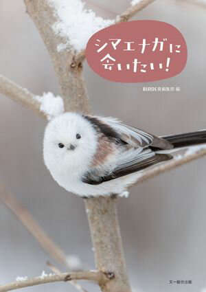 シマエナガに会いたい！【電子書籍】[ BIRDER編集部 ]
