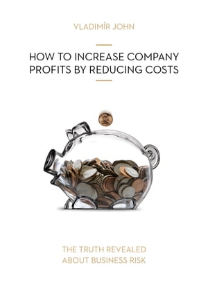 ŷKoboŻҽҥȥ㤨How to Increase Company Profits By Reducing CostsŻҽҡ[ Vladimir John ]פβǤʤ369ߤˤʤޤ