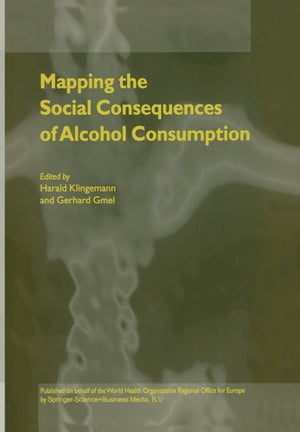 Mapping the Social Consequences of Alcohol Consumption