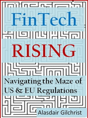 FinTech Rising: Navigating the maze of US & EU regulations