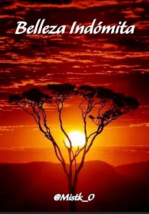ŷKoboŻҽҥȥ㤨Belleza ind?mita Un grito sincero a la belleza que no pide permiso, solo existe...Żҽҡ[ MISTK_O ]פβǤʤ80ߤˤʤޤ