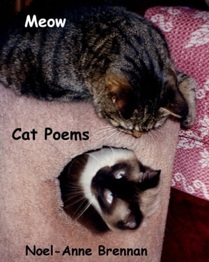 Meow Cat Poems