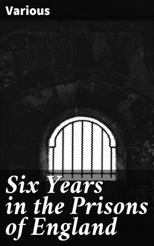 ŷKoboŻҽҥȥ㤨Six Years in the Prisons of England Inside the Depths of the British Penal System: Voices from the IncarceratedŻҽҡ[ Various ]פβǤʤ150ߤˤʤޤ