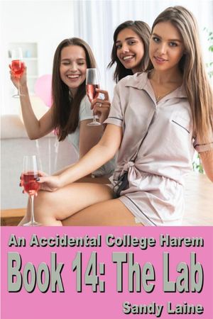 An Accidental College Harem Book 14 An Accidental College Harem, #14Żҽҡ[ Sandy Laine ]