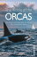 The Riddle of the Orcas How Orcas are Taking Back the Ocean. Why They Attack Boats.Żҽҡ[ K?sbohrer Thomas ]