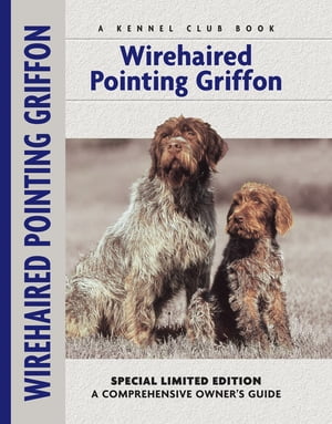 Wirehaired Pointing Griffon