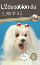 L’EDUCATION DU BICHON MALTAIS - Edition 2021 enrichie Toutes les astuces pour un Bichon Maltais bien ?duqu?