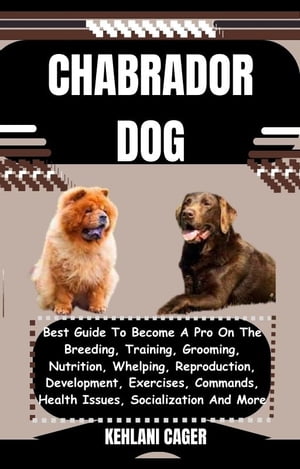 CHABRADOR DOG Best Guide To Become A Pro On The 