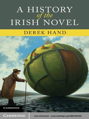 A History of the Irish Novel