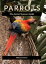 Parrots The Animal Answer GuideŻҽҡ[ Matt Cameron ]