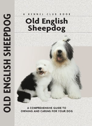 Old English Sheepdog