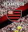 Músicas e jogadores do Flamengo