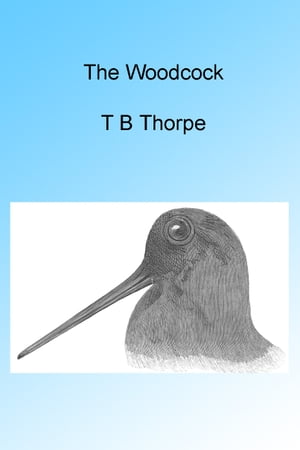 The Woodcock, Illustrated