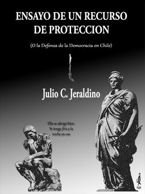 Ensayo de un Recurso de Protecci?n "O la Defensa de la Democracia en Chile"