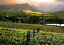 Picturesque Winelands