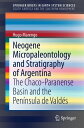 Neogene Micropaleontology and Stratigraphy of Ar