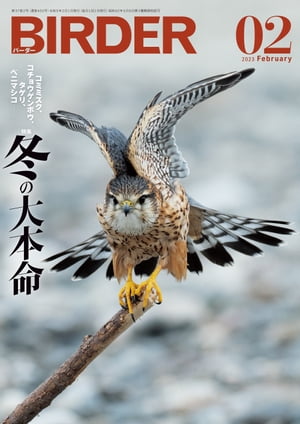 BIRDER2023年2月号【電子書籍】 BIRDER編集部