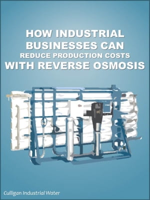 How Industrial Businesses Can Reduce Production Costs With Reverse Osmosis: Industrial Reverse Osmosis