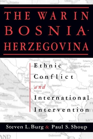 The War in Bosnia-Herzegovina Ethnic Conflict and International Intervention