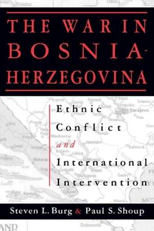 The War in Bosnia-Herzegovina