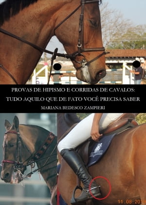 Provas de Hipismo e Corridas de Cavalos: Tudo Aquilo Que De Fato Você Precisa Saber