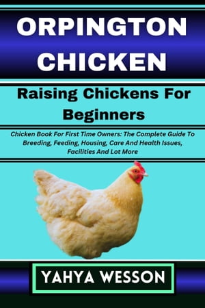 ORPINGTON CHICKEN Raising Chickens For Beginners