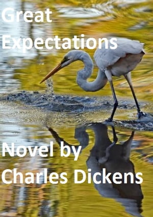 Great Expectations