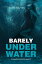 Barely Under Water LisandraS Footprints IiŻҽҡ[ Kathy Mazyck ]