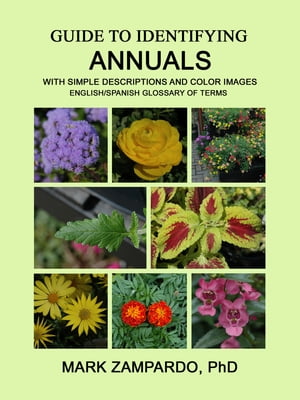 Guide to Identifying Annuals