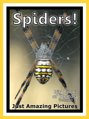 Just Spider Photos! Big Book of Photographs & Pictures of Spiders, Vol. 1