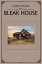 Bleak House