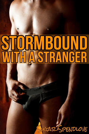 Stormbound With A Stranger