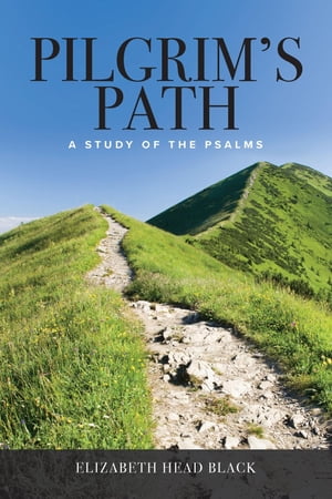 Pilgrim's Path