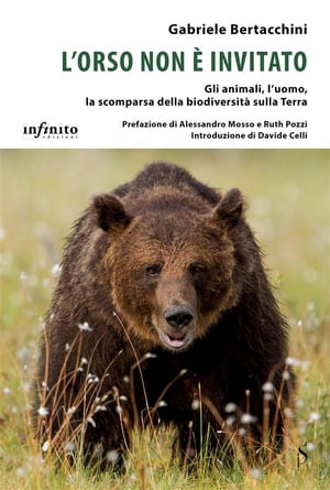 L’orso non è invitato