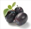 How to Grow Plums